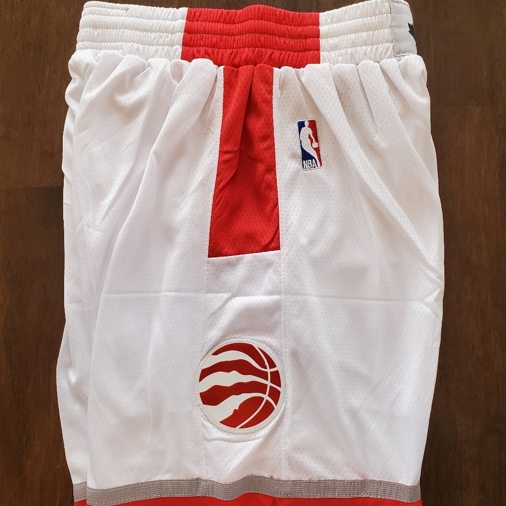 Toronto Raptors - Picture 6 of 8